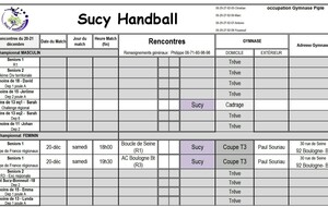 Planning du 20 décembre coupe de France régionale